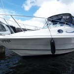 Rinker 240 For Sale